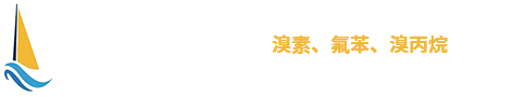 寿光市海辰化工有限公司